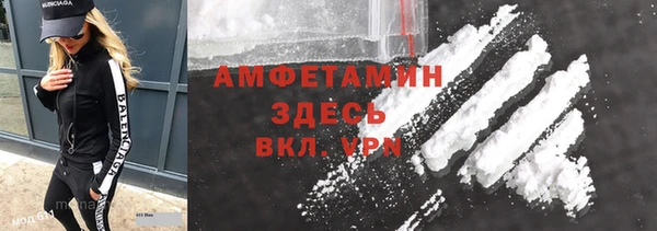 молекула духа Шенкурск