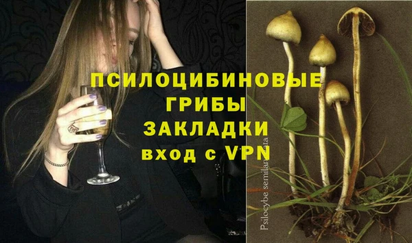 эйфоретик Покачи