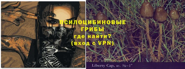 Альфа ПВП Покровск