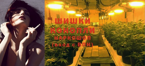 эйфоретик Покачи
