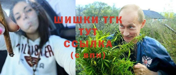 Альфа ПВП Покровск