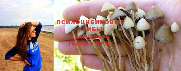 крисы Покров