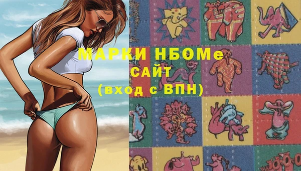 эйфоретик Покачи