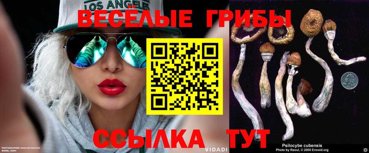 Галлюциногенные грибы Psilocybe  Вход с VPN  наркошоп  Анжеро-Судженск 