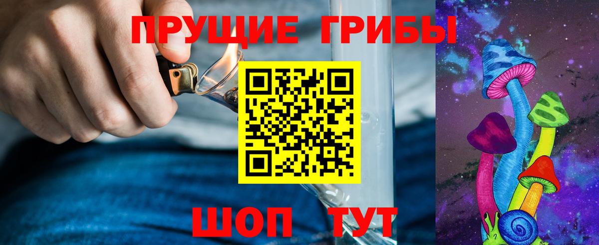 Псилоцибиновые грибы мицелий Анжеро-Судженск